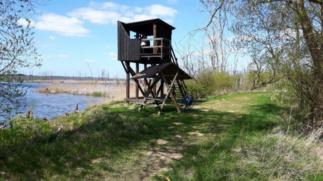 Ferienhaus Paul Am Klostersee, Urlaub Mit Hund Dargun Dış mekan fotoğraf