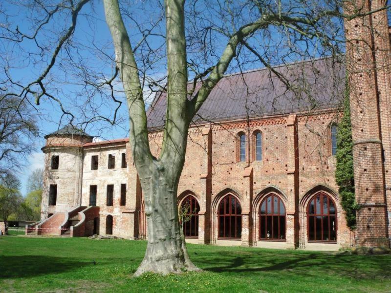 Ferienhaus Paul Am Klostersee, Urlaub Mit Hund Dargun Dış mekan fotoğraf