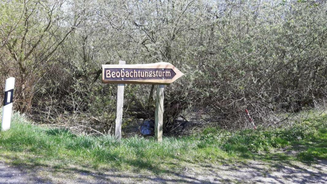 Ferienhaus Paul Am Klostersee, Urlaub Mit Hund Dargun Dış mekan fotoğraf